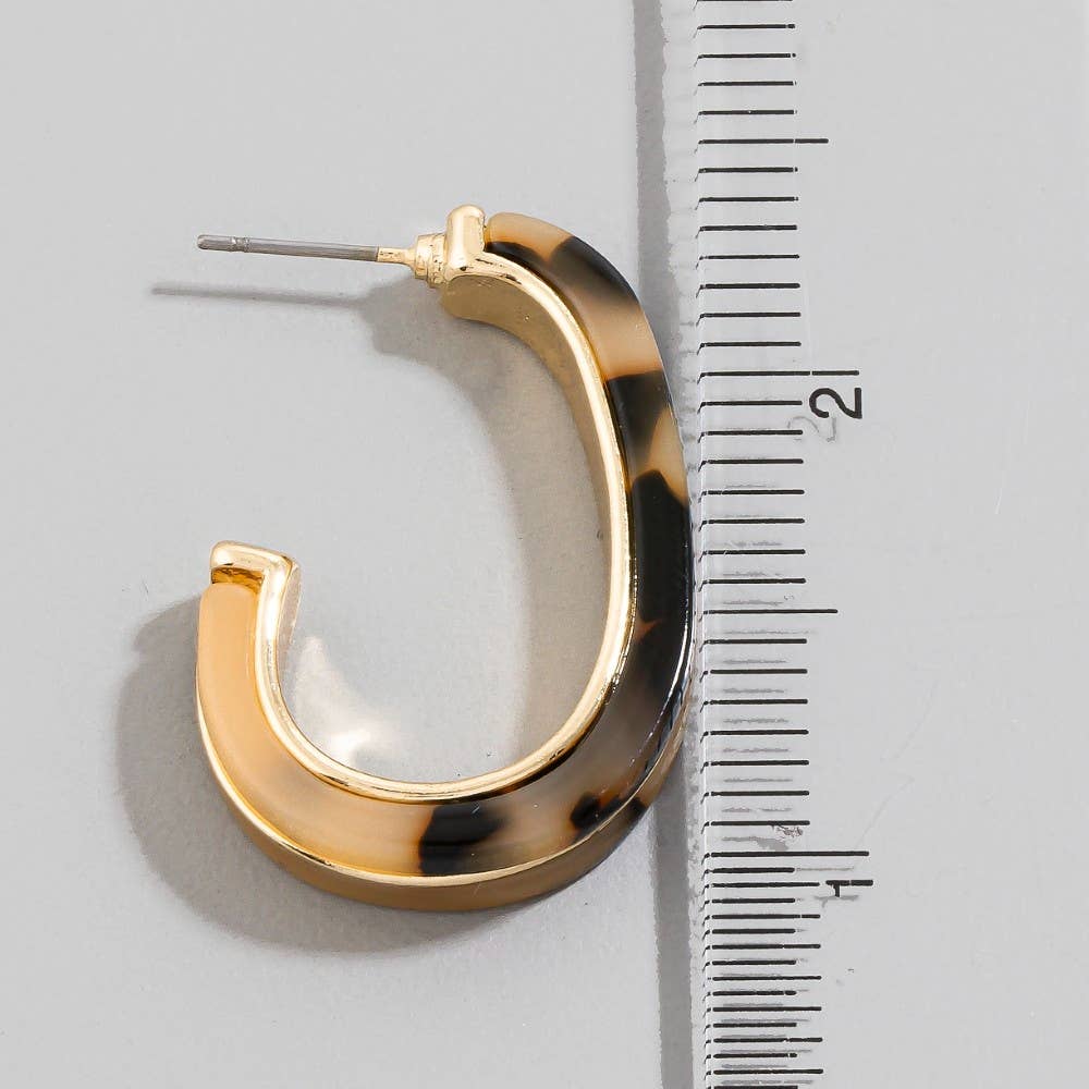 Oval Hoop Earrings