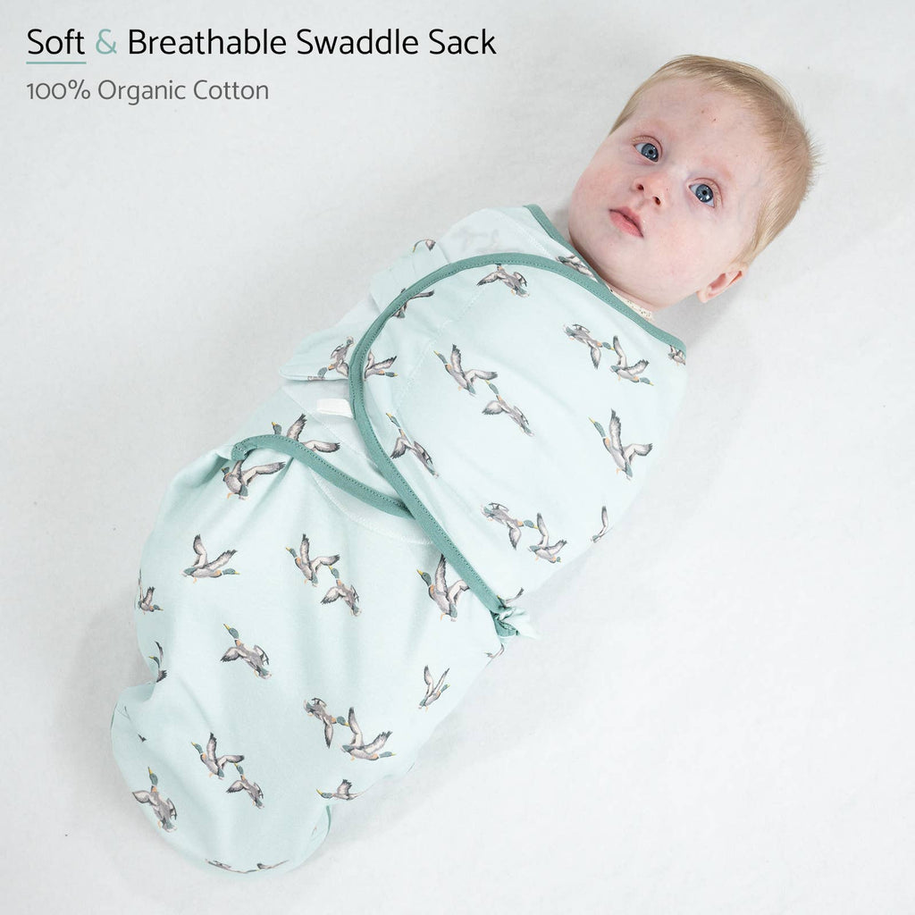 Cotton Velcro Newborn Swaddle Sack Quackin Up Mallard Duck
