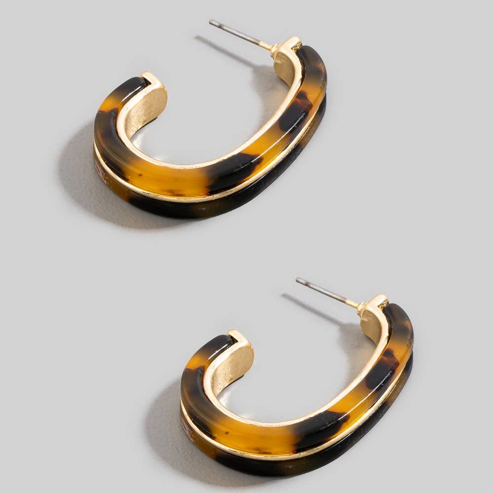 Oval Hoop Earrings