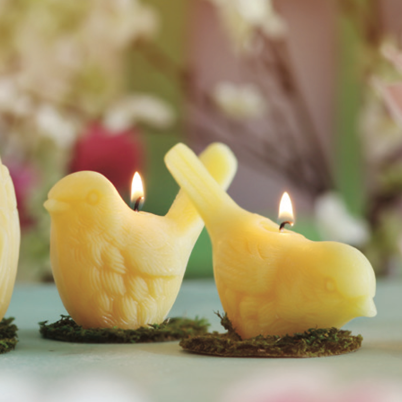 Song Bird Candles – 100% Pure Beeswax – Hand-Crafted
