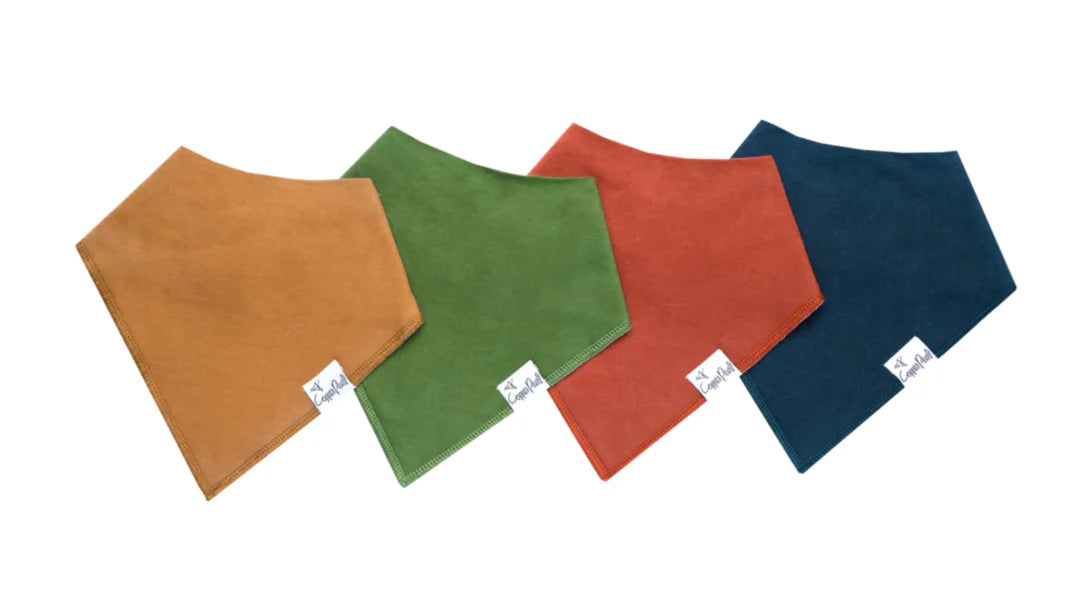 Ridge Baby Bandana Bib Set