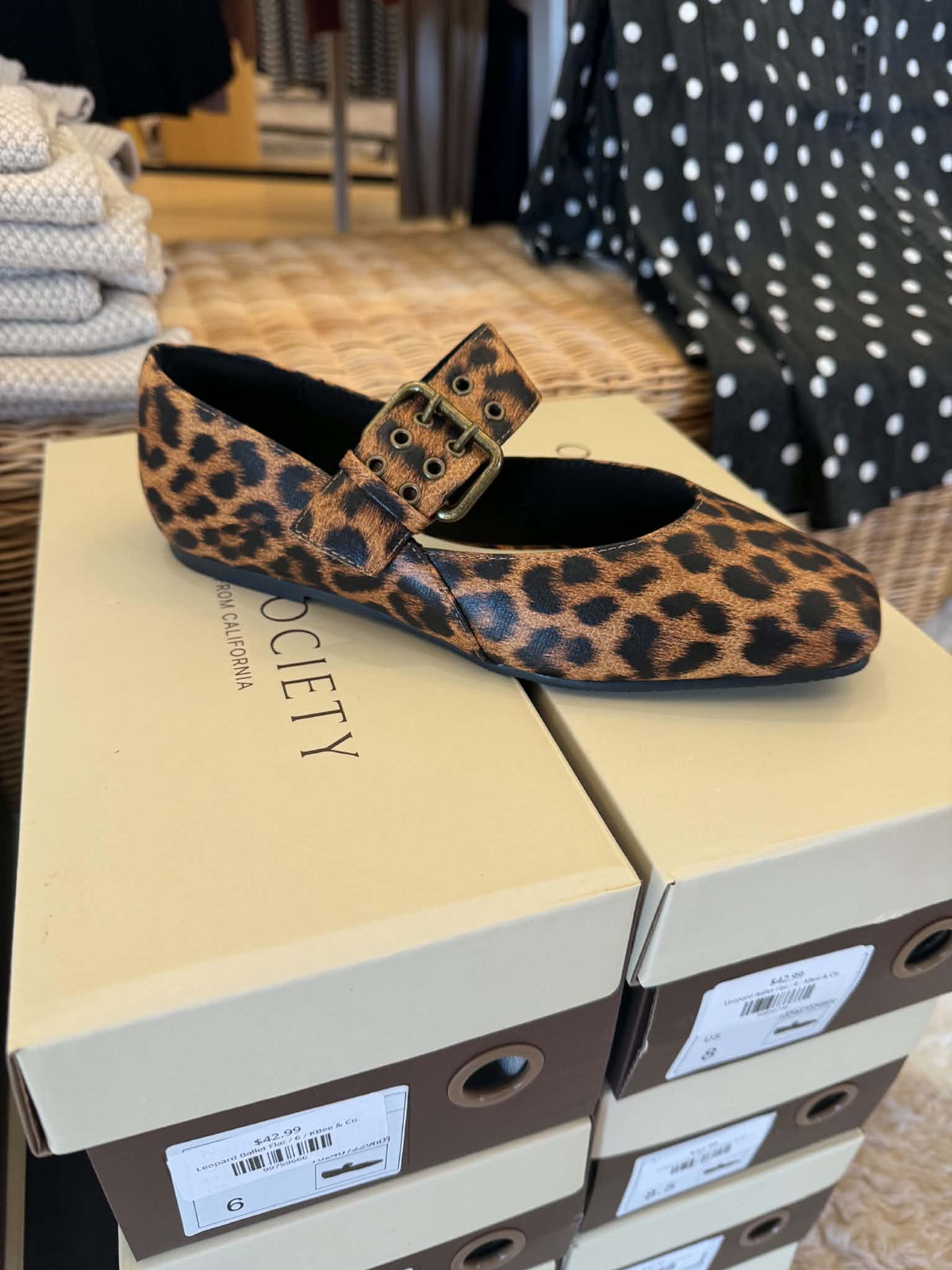 Leopard Ballet Flat