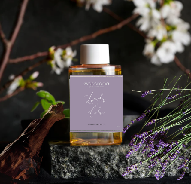 Lavender + Cedar Limited Edition Holiday Fragrance Oil