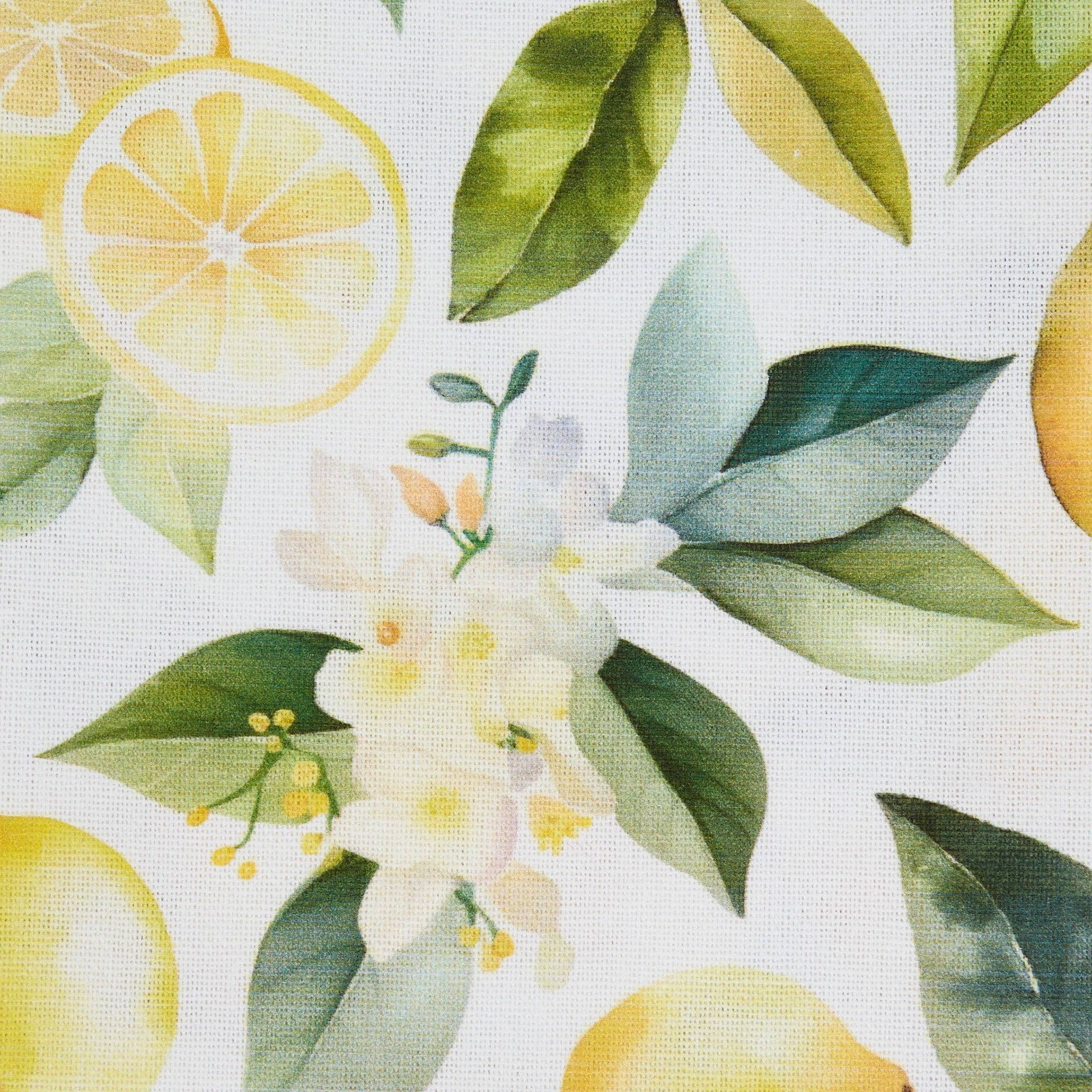 Lemon Grove Assorted Dishtowels