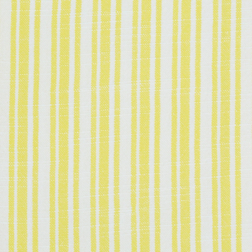 Lemon Grove Assorted Dishtowels
